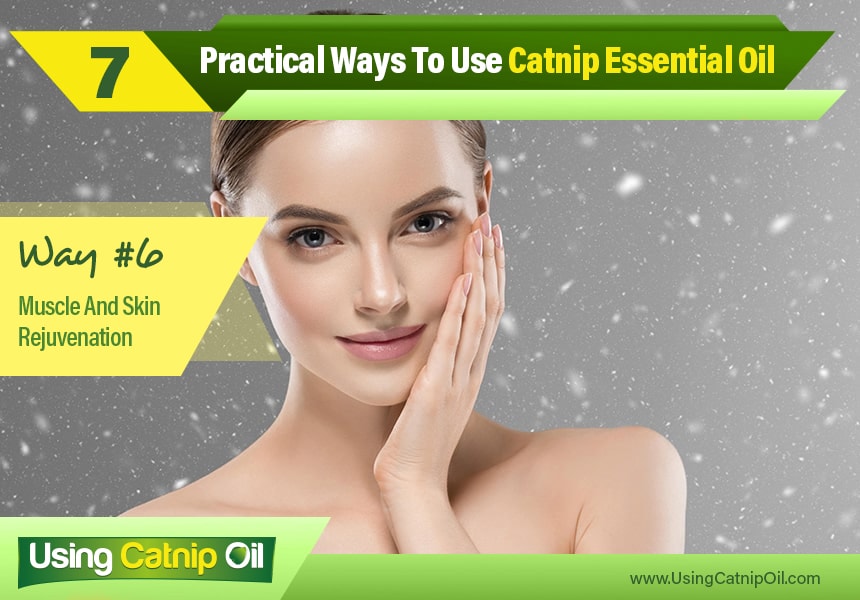   what is catnip essential oil used for