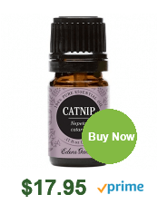  what is catnip essential oil used for