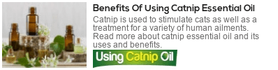   what is catnip essential oil used for