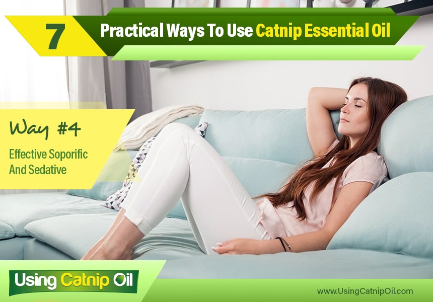   how to use catnip essential oil
